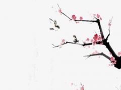 永遠愛前任的生肖男 最愛前任