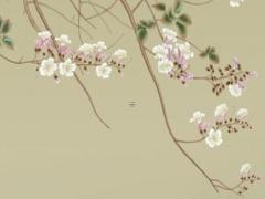 這些生肖女就是職場中的女強人 商界女強人生肖女