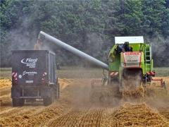 周公解夢夢到水中撈西瓜 夢見自己在水里拿西瓜