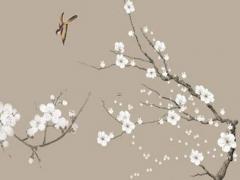 87年屬兔的婚姻配對屬相