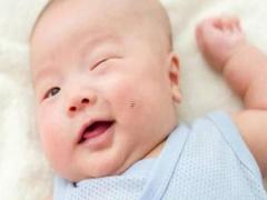 2024給猴寶寶取名字應注意的5個方面 2024年生肖猴