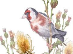 招財(cái)貓是用哪只手招財(cái)?shù)?招財(cái)貓哪個(gè)手是招財(cái)