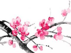 屬龍的人和屬兔的人結婚好嗎,屬龍的和屬兔的能不能結婚