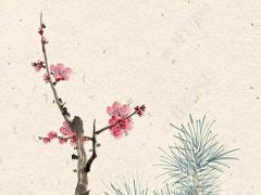 70年屬狗男2023多大,70年屬狗男到2023年怎么樣