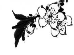 96年屬鼠的人注定的婚姻 96年屬鼠人注定的婚姻2020年