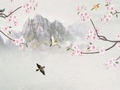 千手觀音只能屬鼠的戴嗎,千手觀音對屬鼠的作用