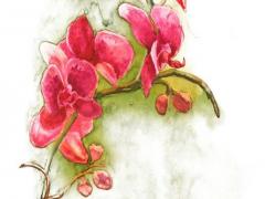 風(fēng)水轉(zhuǎn)運(yùn)平安鎮(zhèn)宅符帖哪好 驅(qū)邪平安鎮(zhèn)宅符