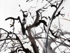 qq昵稱浪漫大全好聽(tīng) qq昵稱浪漫大全好聽(tīng)男生