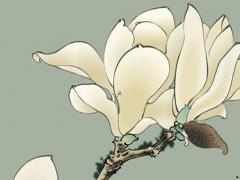 老公外債太多怎么離婚 老公外債太多離婚能保住房子嗎