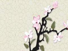 馬云八字命理風水五行要補水木 馬云八字好在哪