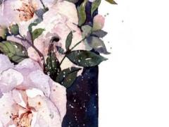 八字喜水女孩姓名 生辰八字喜水的女孩名字