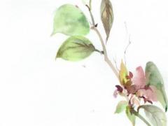 66屬馬2023年運(yùn)勢