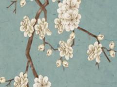 十二生肖金木水火土表五行顏色 十二生肖的金木水火土五行分布