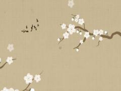 八字里面沒有水和火 八字沒有水的人生好嗎