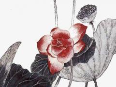 水瓶座女生性格特點(diǎn)以及弱點(diǎn) 水瓶座最討厭的6大星座