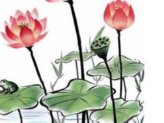 屬豬的人能找對象嗎 屬豬的找屬啥的對象好