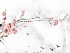 女生的名字好聽又帥氣