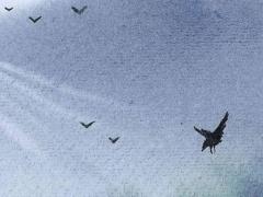 槿字五行屬什么 堇字五行屬什么