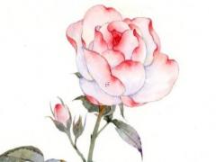 射手男對待愛情的態度 射手男對待深愛的女人的表現