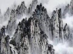 1988年屬龍女士婚配,1988年的屬龍女婚配