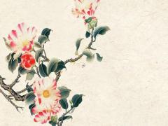 哪些屬相婚配不適合做夫妻關(guān)系 什么屬相不適合做夫妻