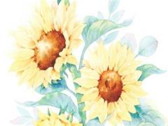 韓辰灃周易講座四柱八字摘四 韓氏易