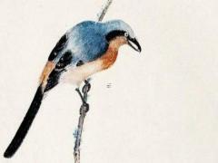 摩羯男討厭一個(gè)人的表現(xiàn) 摩羯男討厭你的表現(xiàn)