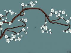 怎么算自己的陽(yáng)歷生日 怎么算自己的陽(yáng)歷生日是哪一天