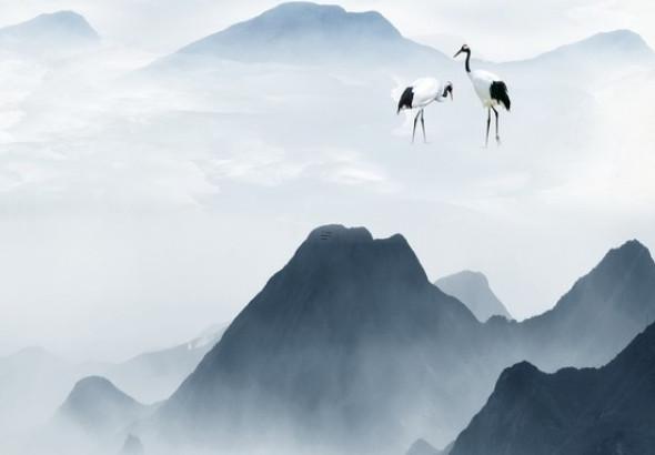 正常是陰歷還是陽(yáng)歷 正常的日期是陽(yáng)歷嗎 正常是陰歷還是陽(yáng)歷 正常的日期是陽(yáng)歷嗎