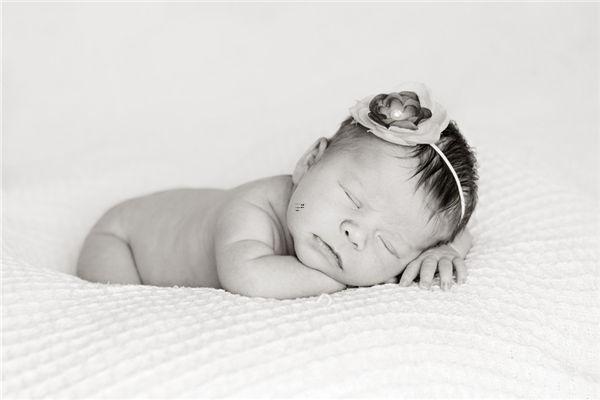 周公解夢大全查詢蛇逮野兔 夢中逮蛇 周公解夢大全查詢蛇逮野兔 夢中逮蛇