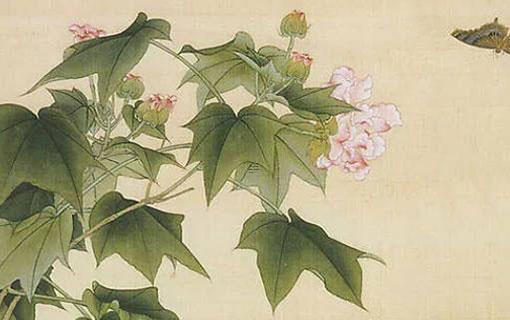 男朋友問我的生辰八字 男朋友問我生辰八字能不能說假的 男朋友問我的生辰八字 男朋友問我生辰八字能不能說假的