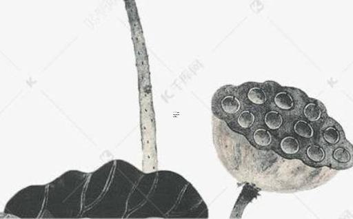 一月當(dāng)中最佳受孕時(shí)間 一月底受孕幾月生 一月當(dāng)中最佳受孕時(shí)間 一月底受孕幾月生