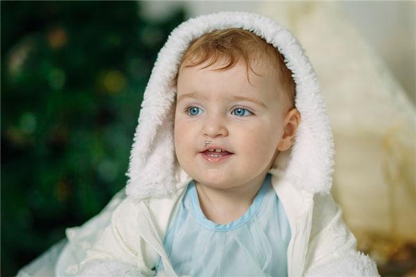 夢見蛇頭露洞外 夢見蛇頭伸出洞口