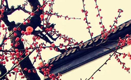 女屬蛇四月最佳婚配,女屬蛇4月份的命好嗎 女屬蛇四月最佳婚配,女屬蛇4月份的命好嗎