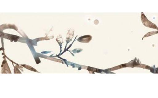 屬兔與屬猴婚配，屬兔和屬猴的婚姻好嗎