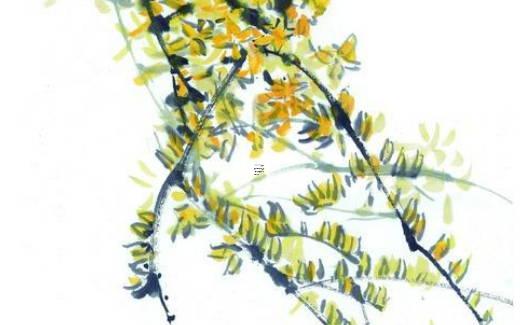 射手座的經(jīng)典名詞是什么英文 適合射手座的英文名免費取名 射手座的經(jīng)典名詞是什么英文 適合射手座的英文名免費取名