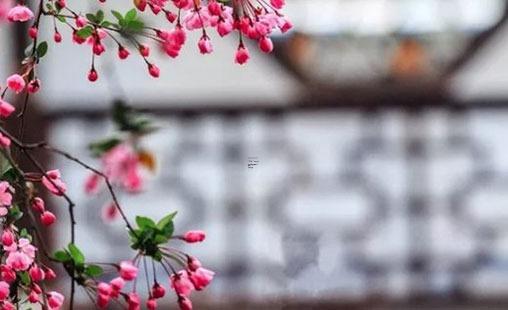 十月十七是什么日子 10月17日是黃道吉日嗎 十月十七是什么日子 10月17日是黃道吉日嗎