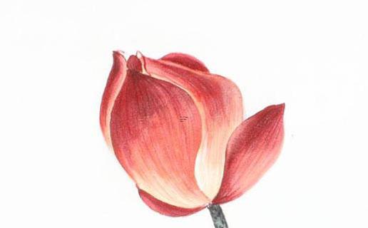 子字女孩取名字含義 精選女孩名字大全 子字女孩取名字含義 精選女孩名字大全