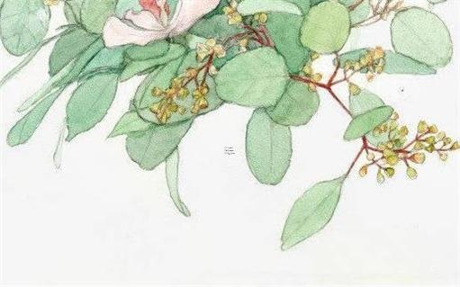 屬猴的80后今年多大,屬猴的80年出生今年多大 屬猴的80后今年多大,屬猴的80年出生今年多大