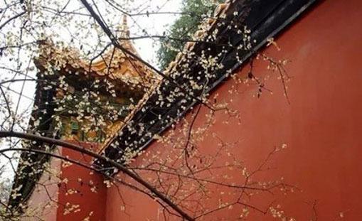 巨蟹座和處女座相配嗎 巨蟹座和處女座配對(duì)率 巨蟹座和處女座相配嗎 巨蟹座和處女座配對(duì)率