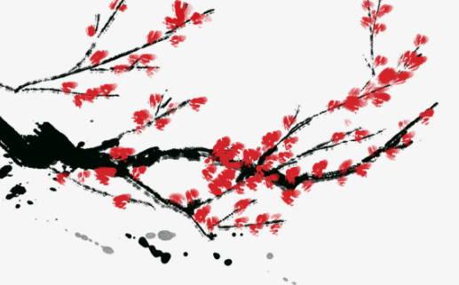 45種女人面部痣相圖解大全 女人面部的痣的命運圖