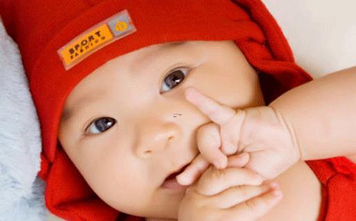 狐貍好聽的名字 狐貍好聽的名字