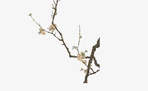 佩戴東西真的可以轉運嗎 通過佩戴東西來改善運氣有效果嗎 佩戴東西真的可以轉運嗎 通過佩戴東西來改善運氣有效果嗎