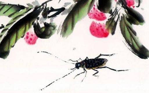 屬虎女屬豬男,屬虎女屬豬男結合好不好 屬虎女屬豬男,屬虎女屬豬男結合好不好