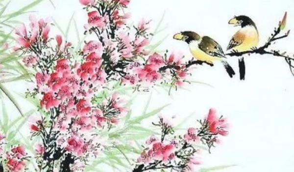 屬蛇人床頭掛什么畫好,屬蛇床頭放什么壁畫最旺 屬蛇人床頭掛什么畫好,屬蛇床頭放什么壁畫最旺