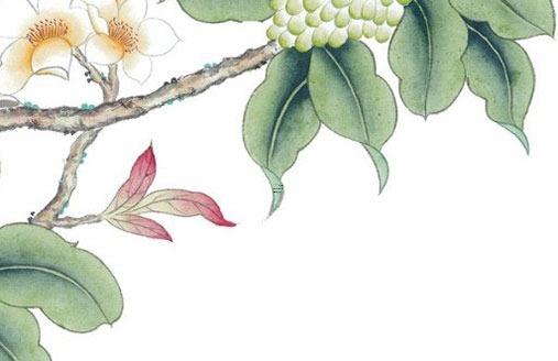 屬龍跟屬虎合得來嗎，屬龍的跟屬虎的相合嗎