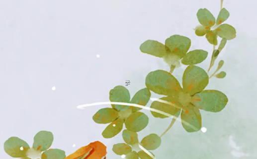 哪里有通過生日測緣分的小游戲 生日測兩人有沒有夫妻緣分 哪里有通過生日測緣分的小游戲 生日測兩人有沒有夫妻緣分