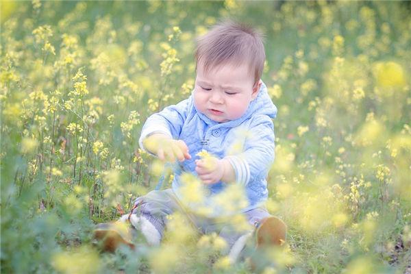 夢見在白天里撿鱔魚 夢見田里好多鱔魚我都撿不完 夢見在白天里撿鱔魚 夢見田里好多鱔魚我都撿不完