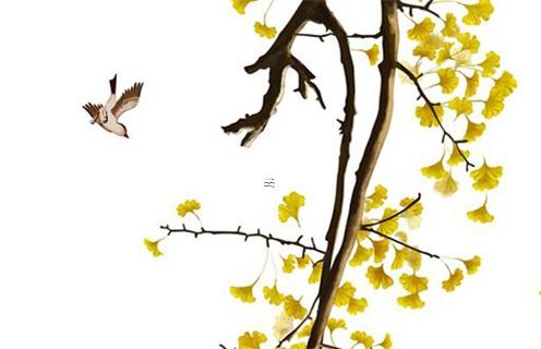 批八字知道什么就可以算卦了 批八字都能算什么 批八字知道什么就可以算卦了 批八字都能算什么