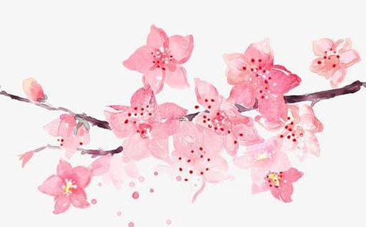 好看好聽的姓康女寶寶名字 康姓女寶寶名字大全免費